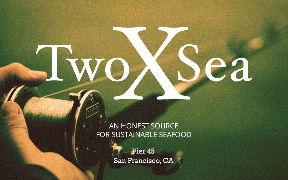 twoxsea_homepage_new_pier45_top